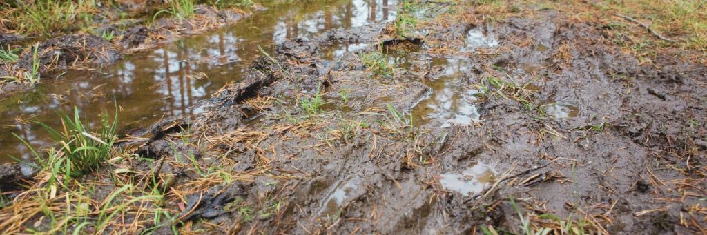 3: Of Mud